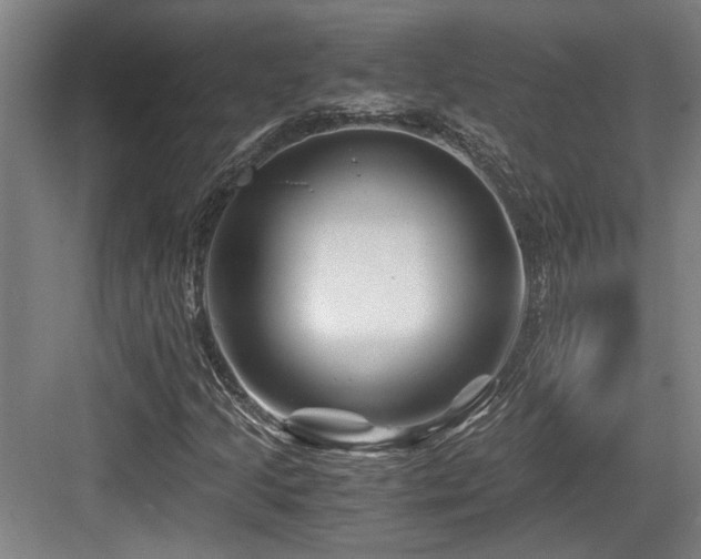 X0000084031205200702161426