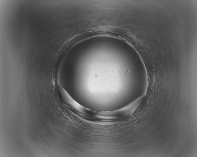 X0000084031206200702161426