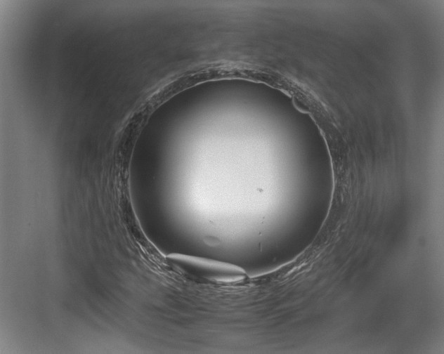 X0000084031207200702161426