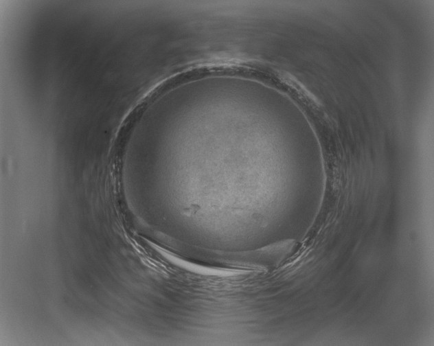 X0000084031208200702161426