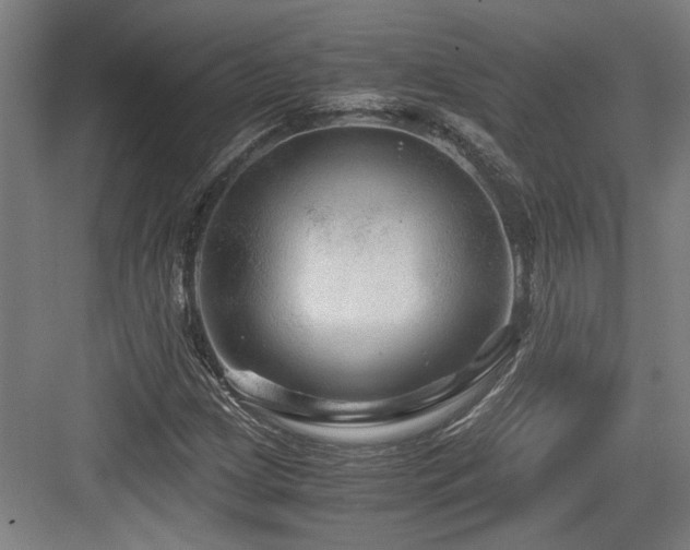 X0000084031209200702161426