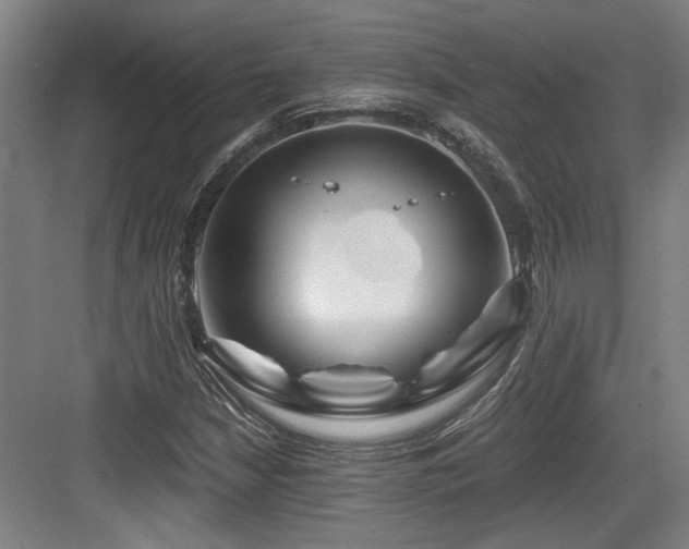 X0000084031210200702161426