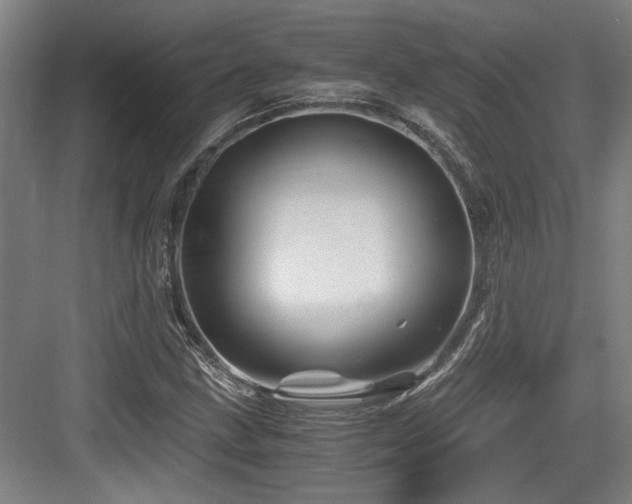 X0000084031211200702161426