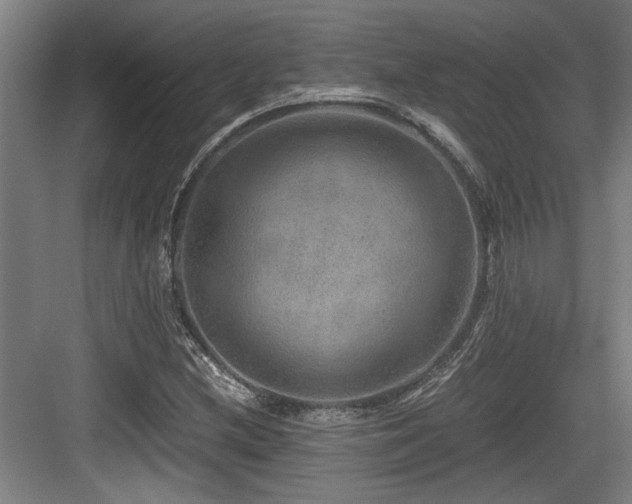 X0000084031212200702161426