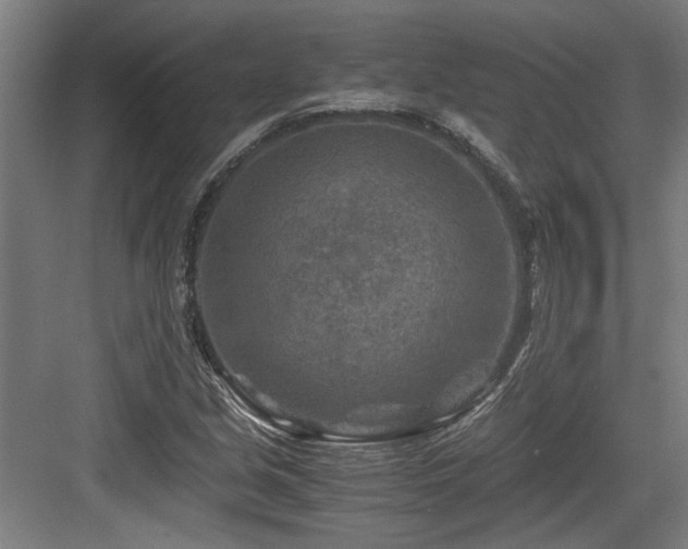 X0000084031213200702161426