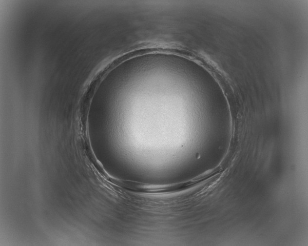 X0000084031215200702161426