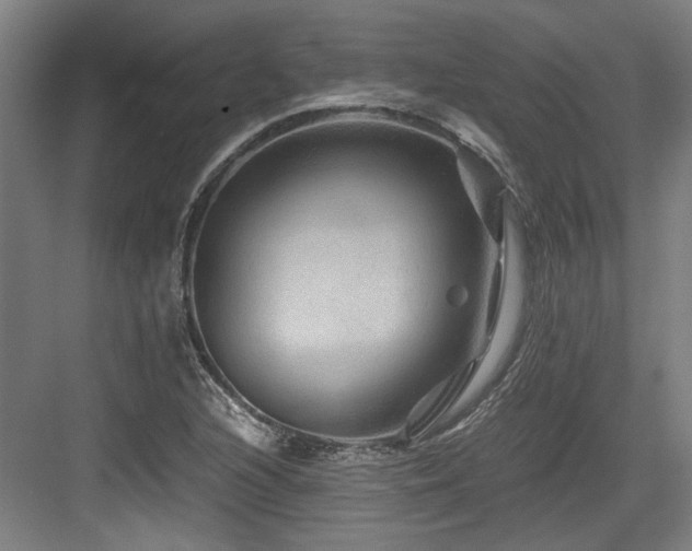 X0000084031216200702161426