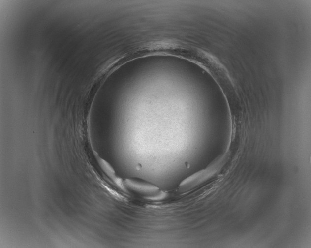 X0000084031217200702161426