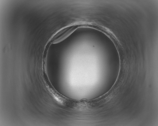 X0000084031220200702161426