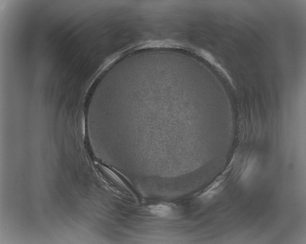 X0000084031221200702161426