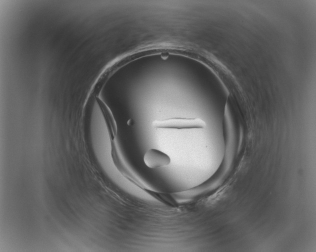 X0000084031222200702161426