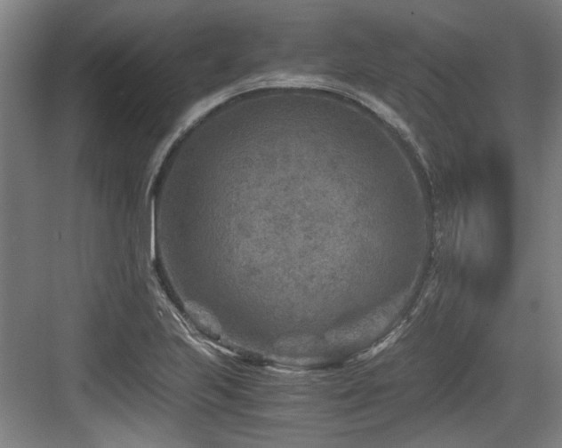 X0000084031223200702161426