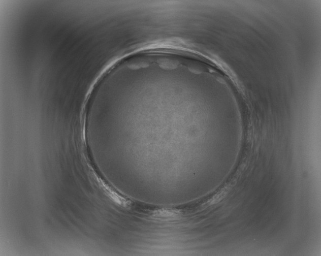 X0000084031224200702161426