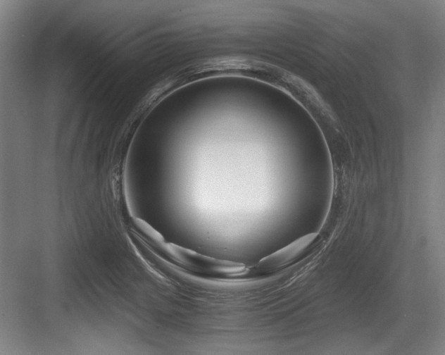 X0000084031225200702161426