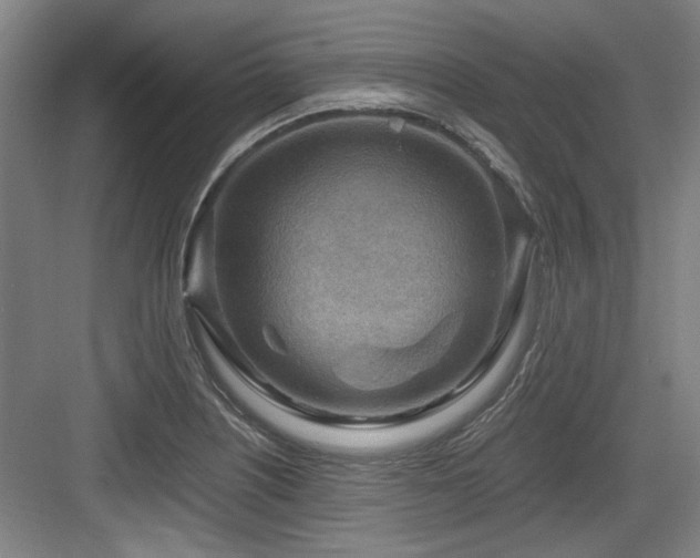 X0000084031226200702161426