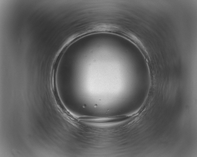 X0000084031227200702161426