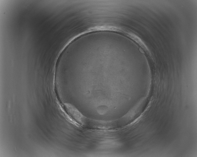 X0000084031228200702161426