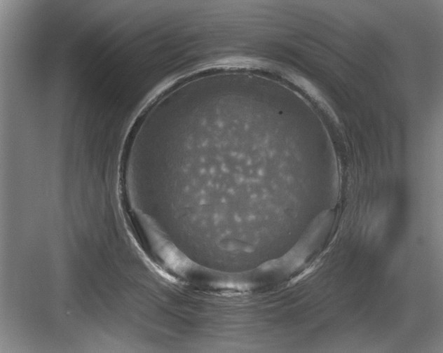 X0000084031229200702161426