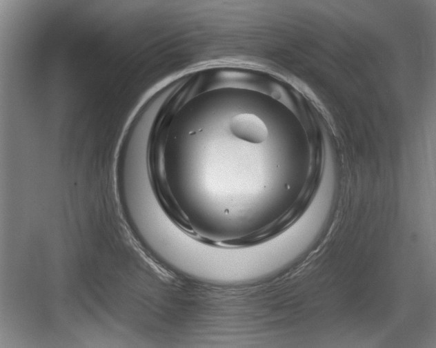 X0000084031230200702161426