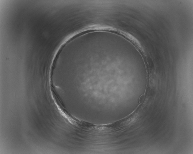 X0000084031231200702161426