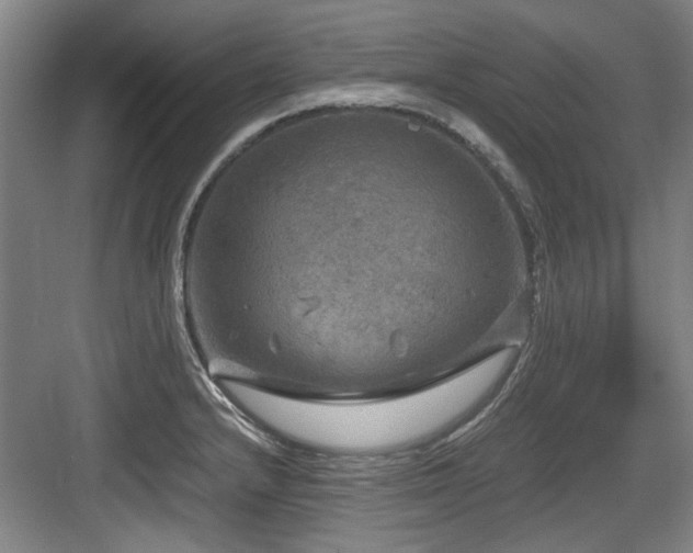 X0000084031232200702161426