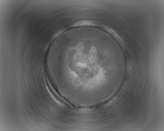 X0000084031233200702161426