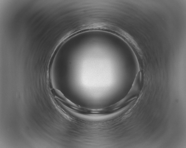 X0000084031234200702161426