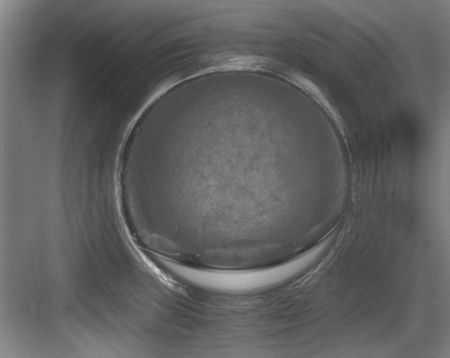 X0000084031235200702161426