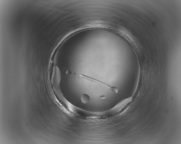 X0000084031236200702161426