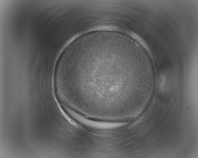 X0000084031237200702161426