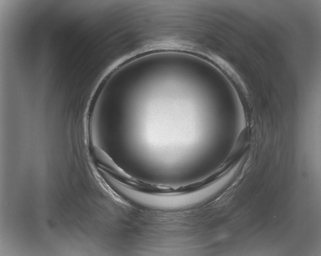 X0000084031238200702161426