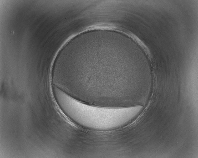 X0000084031240200702161426