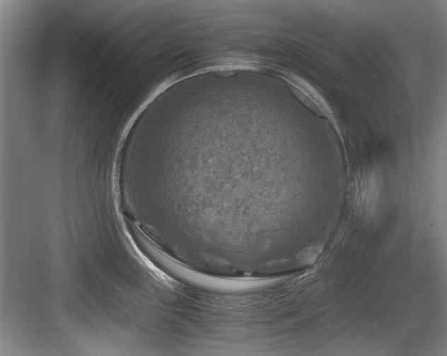 X0000084031243200702161426