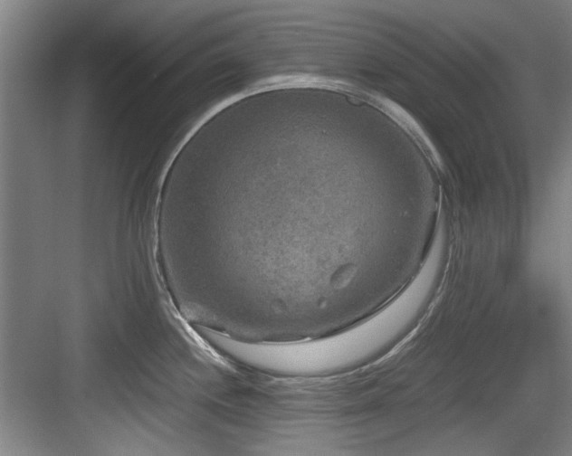 X0000084031244200702161426