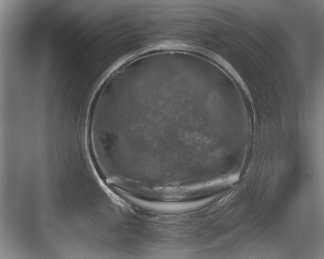 X0000084031245200702161426