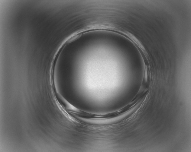 X0000084031246200702161426