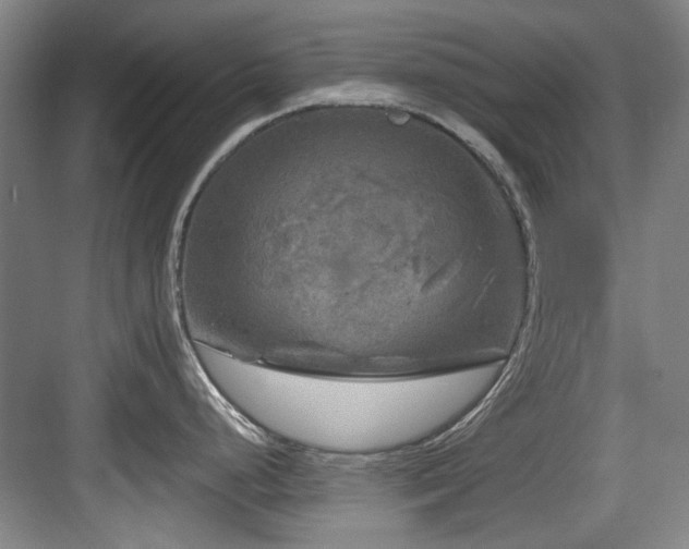 X0000084031248200702161426