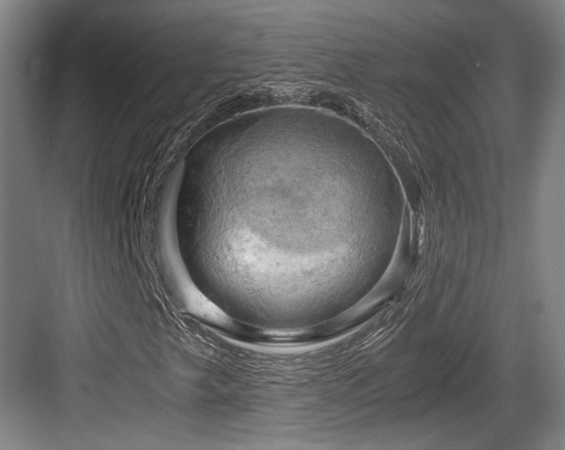 X0000084031249200702161426