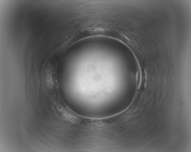 X0000084031250200702161425