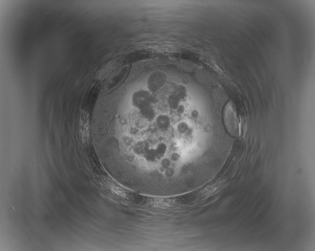 X0000084031251200702161425