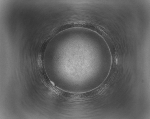 X0000084031252200702161425