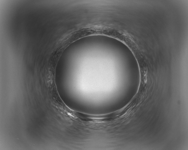 X0000084031253200702161425