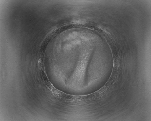 X0000084031254200702161425