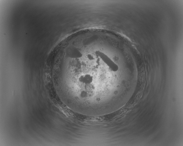 X0000084031255200702161425