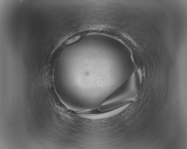 X0000084031256200702161425