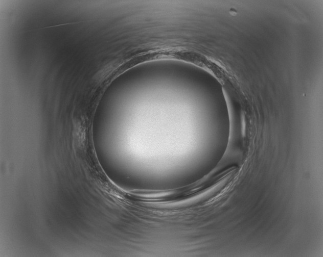 X0000084031257200702161425