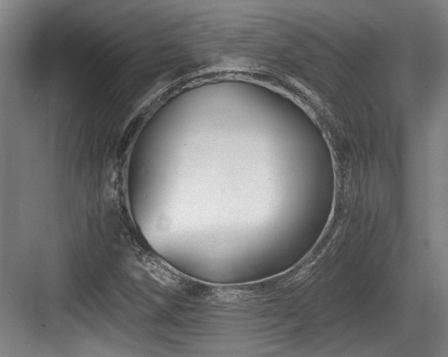 X0000084031258200702161425