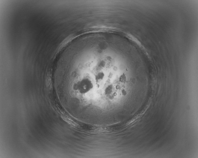 X0000084031259200702161425