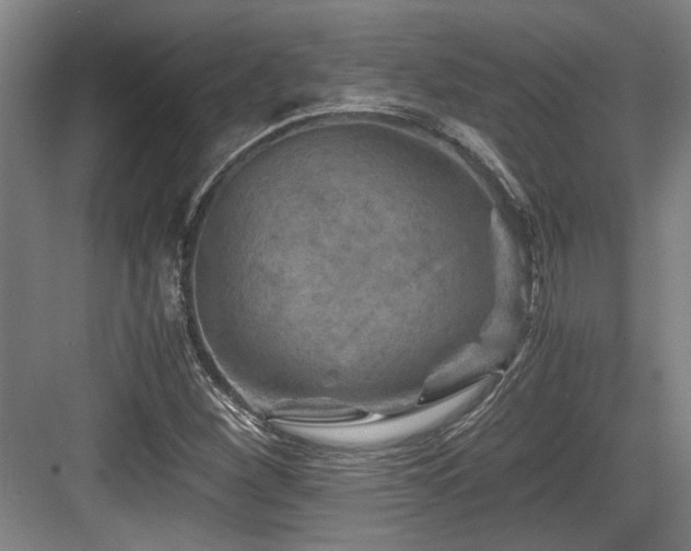 X0000084031260200702161425