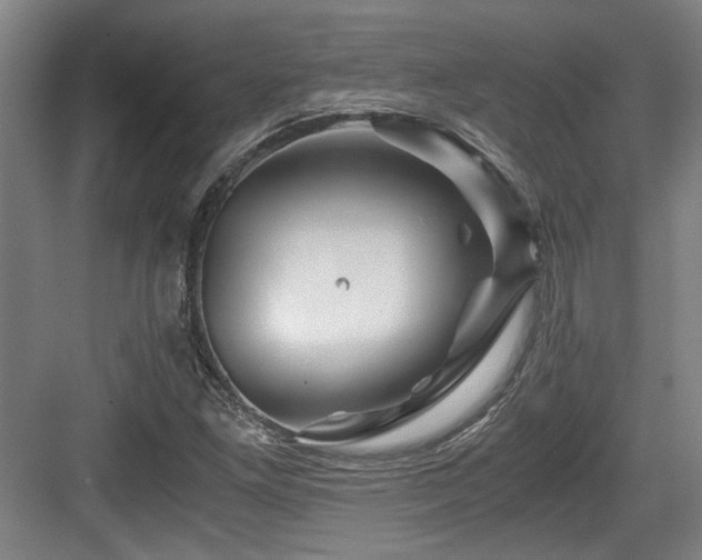 X0000084031261200702161425